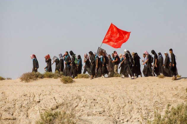 بين وحشة الليل ولهيب النهار.. رحلة استثنائية تصل كربلاء