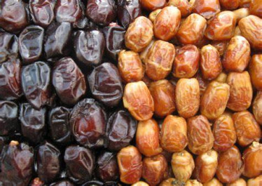 صورة المقالة